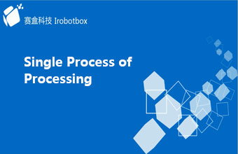 Single Process of Processing